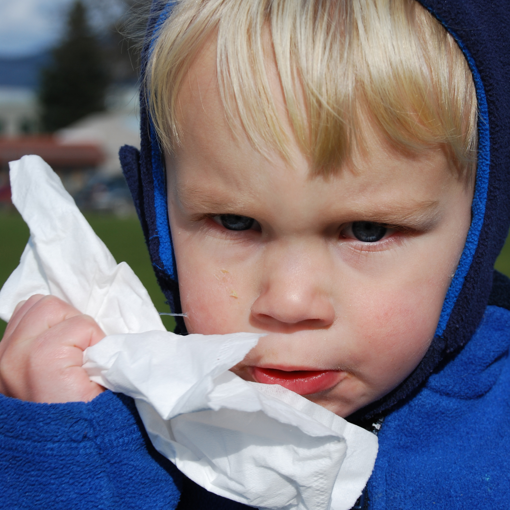 7 Reasons to Keep Eucalyptus Peppermint Essential Oil Close During Cold Season - Simpelhaus