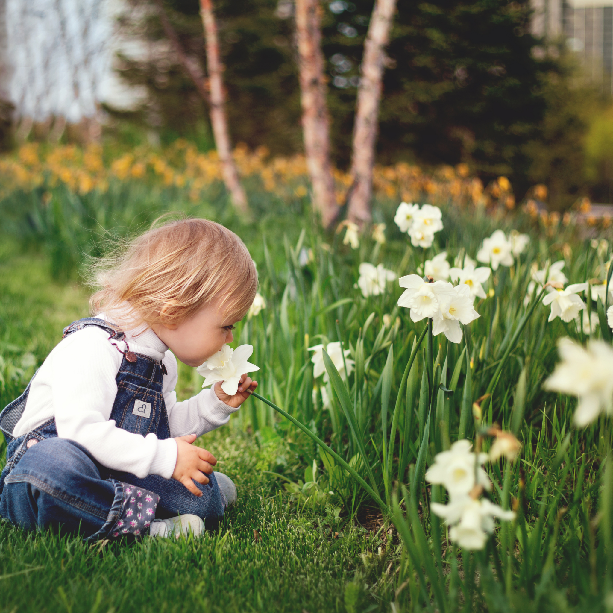 Smell: The Sense that Keeps Us Connected - Simpelhaus