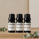 The Daily Sanctuary Collection (with Cube Wooden Diffuser)