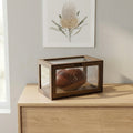 Minimalist Timber Display Case (with High-Transparency Acrylic)
