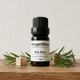 SimpelHaus Tea Tree Essential Oil 10ml